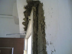 Click for larger picture